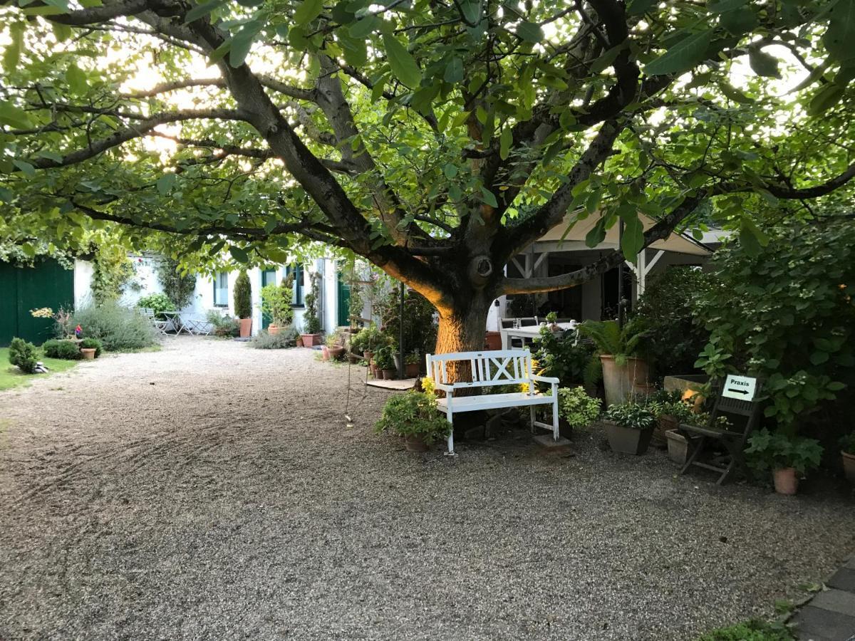 Ferien- Und Messewohnung In Meerbusch Eksteriør billede